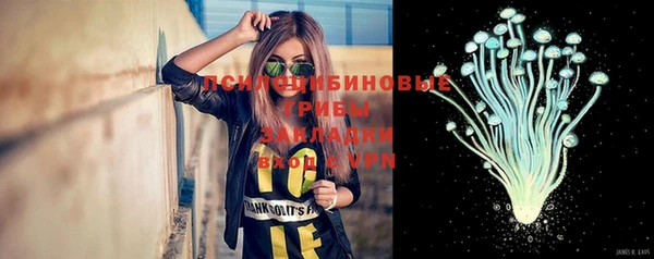 кокс Няндома