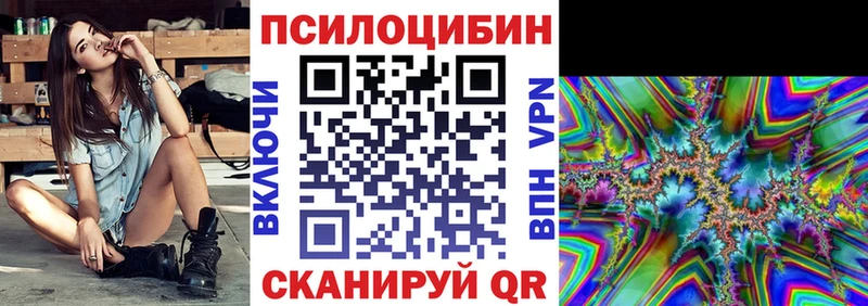 Галлюциногенные грибы Psilocybine cubensis  Шелехов 